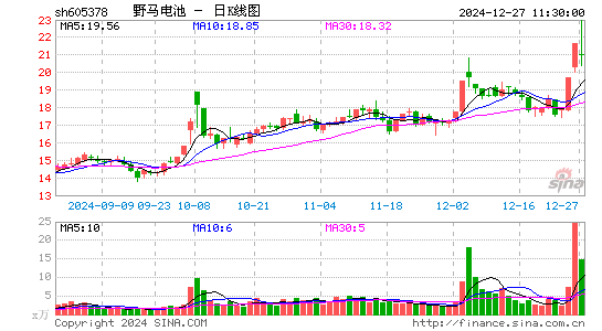 野马电池