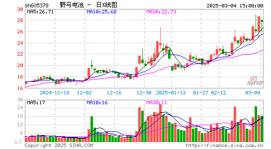 野马电池