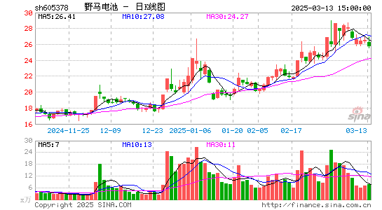 野马电池