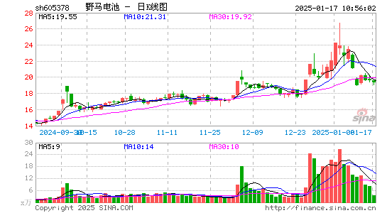 野马电池