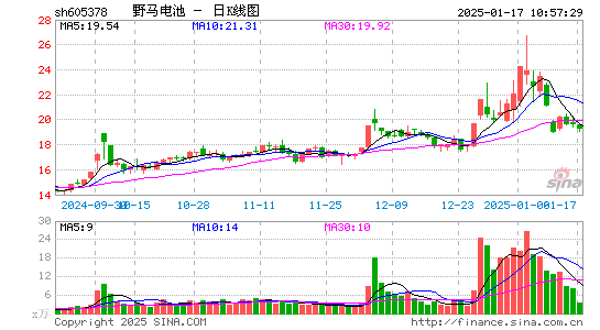 野马电池