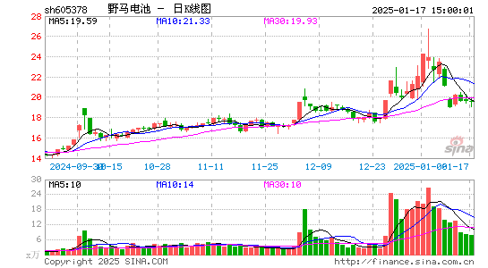 野马电池