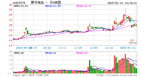 野马电池