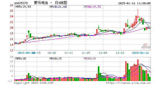 野马电池