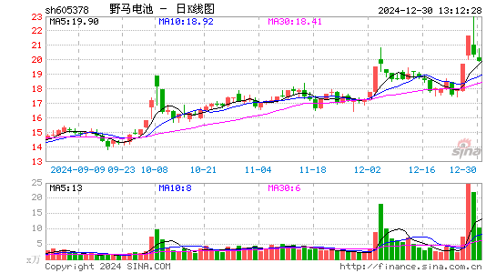 野马电池