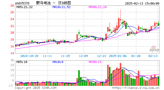 野马电池