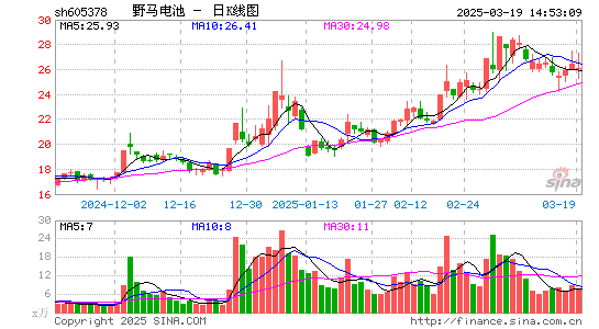 野马电池