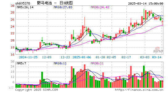 野马电池