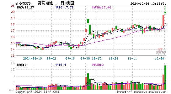 野马电池