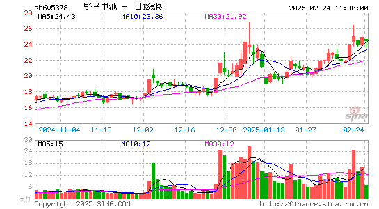 野马电池