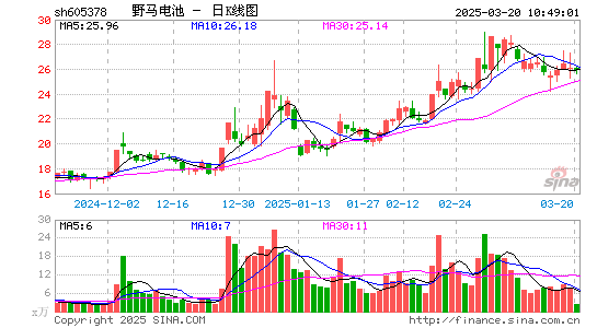 野马电池