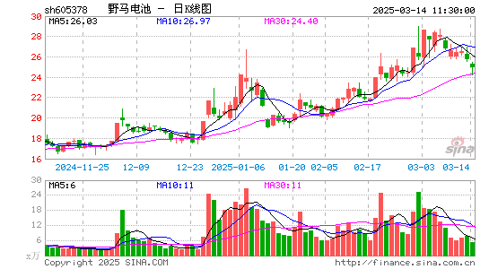 野马电池