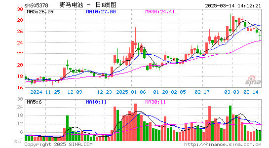 野马电池