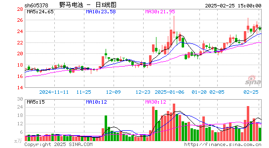 野马电池