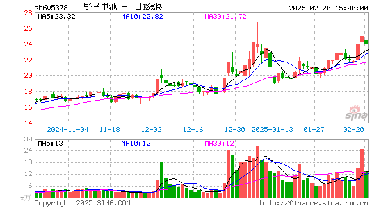 野马电池