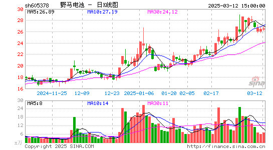 野马电池