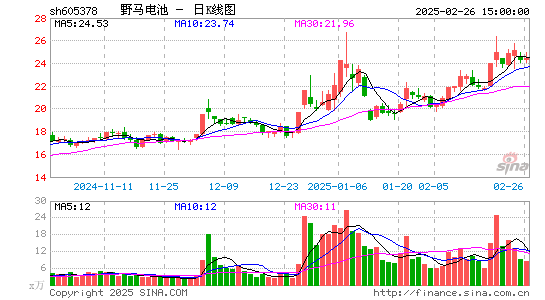 野马电池