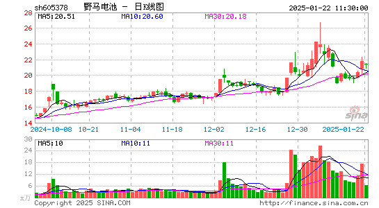 野马电池