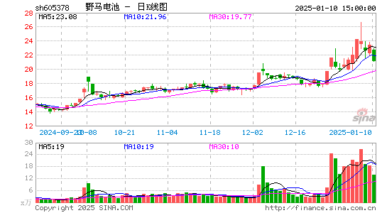 野马电池