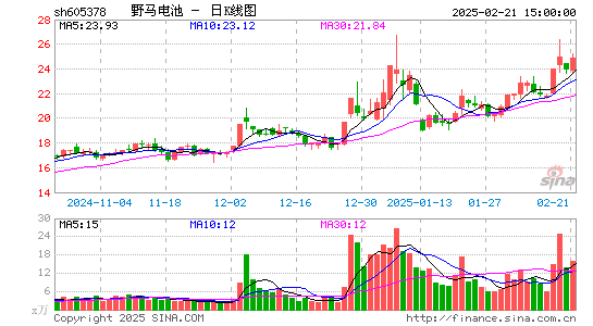 野马电池