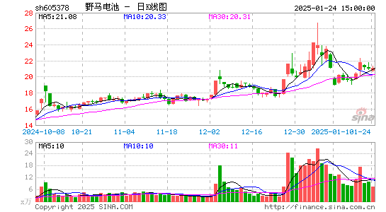 野马电池