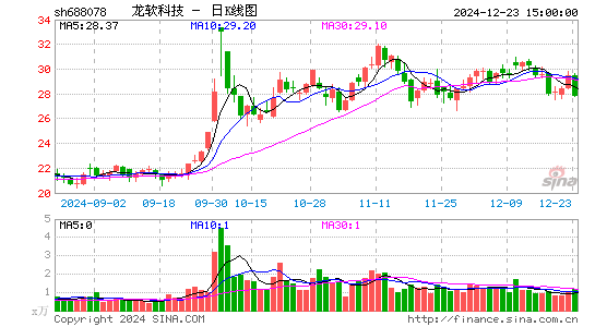 龙软科技