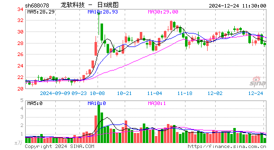 龙软科技