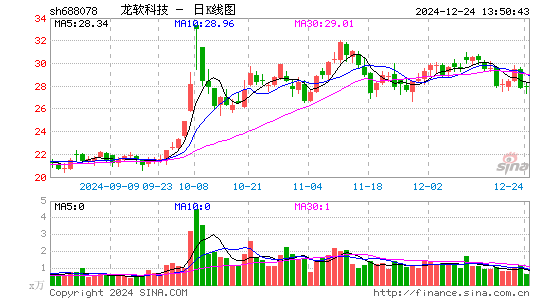 龙软科技