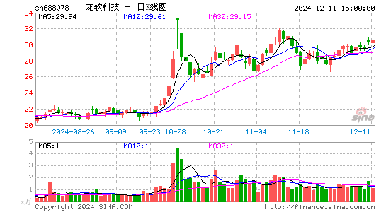 龙软科技