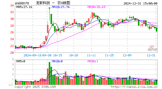 龙软科技