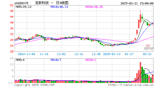 龙软科技