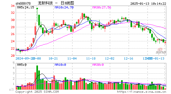 龙软科技