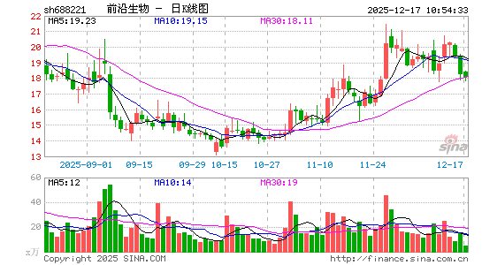 ǰ������