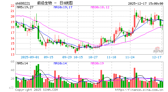 ǰ������