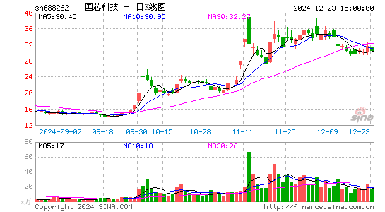 国芯科技