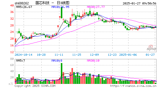 国芯科技