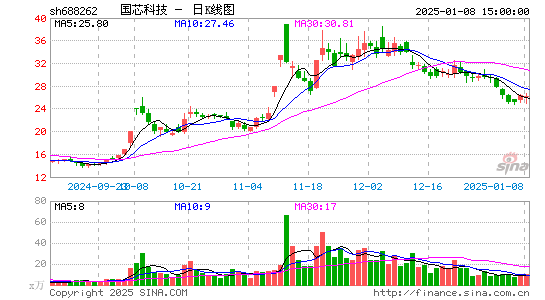 国芯科技