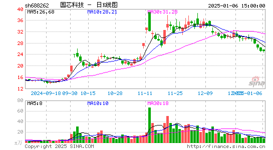 国芯科技