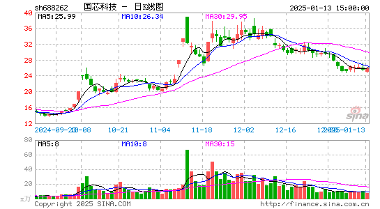 国芯科技