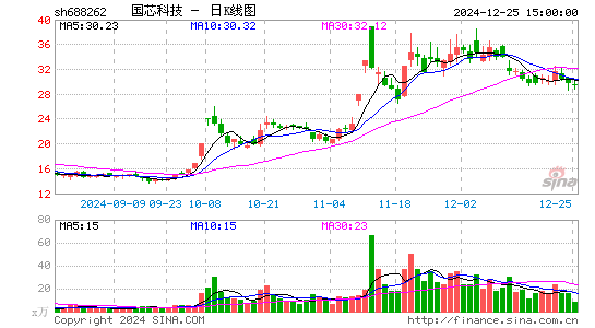 国芯科技