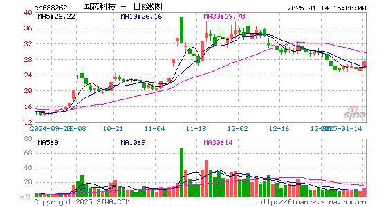 国芯科技