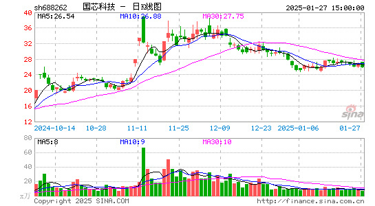 国芯科技