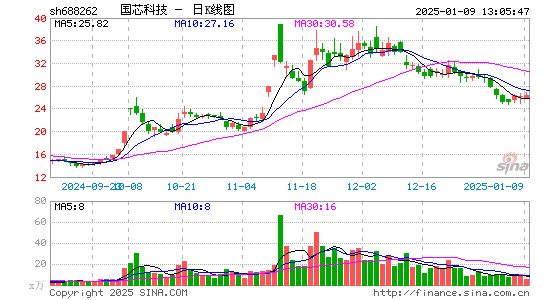 国芯科技