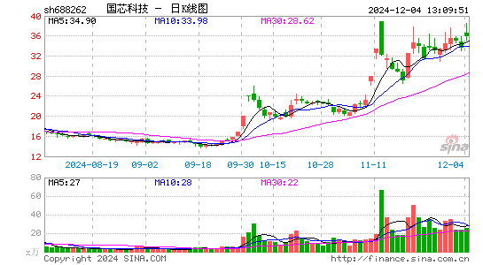 国芯科技