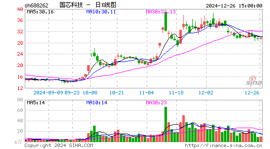 国芯科技