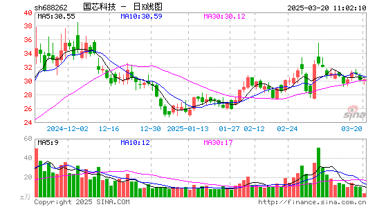 国芯科技