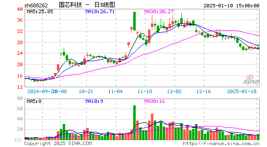 国芯科技