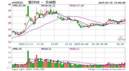 国芯科技