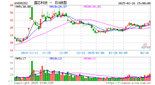 国芯科技