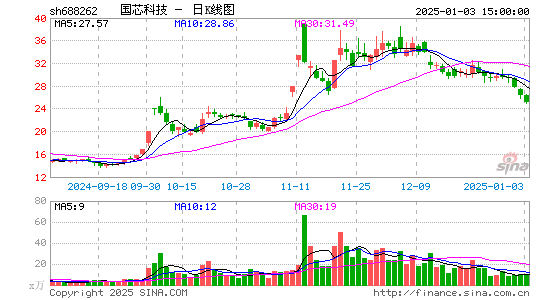 国芯科技